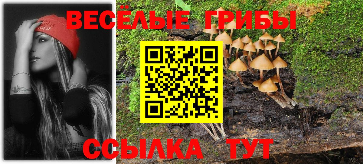 Вичуга  что такое наркотик  Вход с VPN  Галлюциногенные грибы ЛСД 